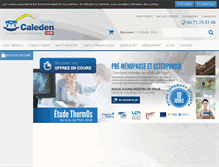 Tablet Screenshot of caleden.com